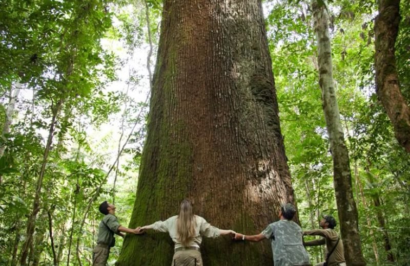 Ecoturismo_ promovendo a sustentabilidade e a consciência ambiental